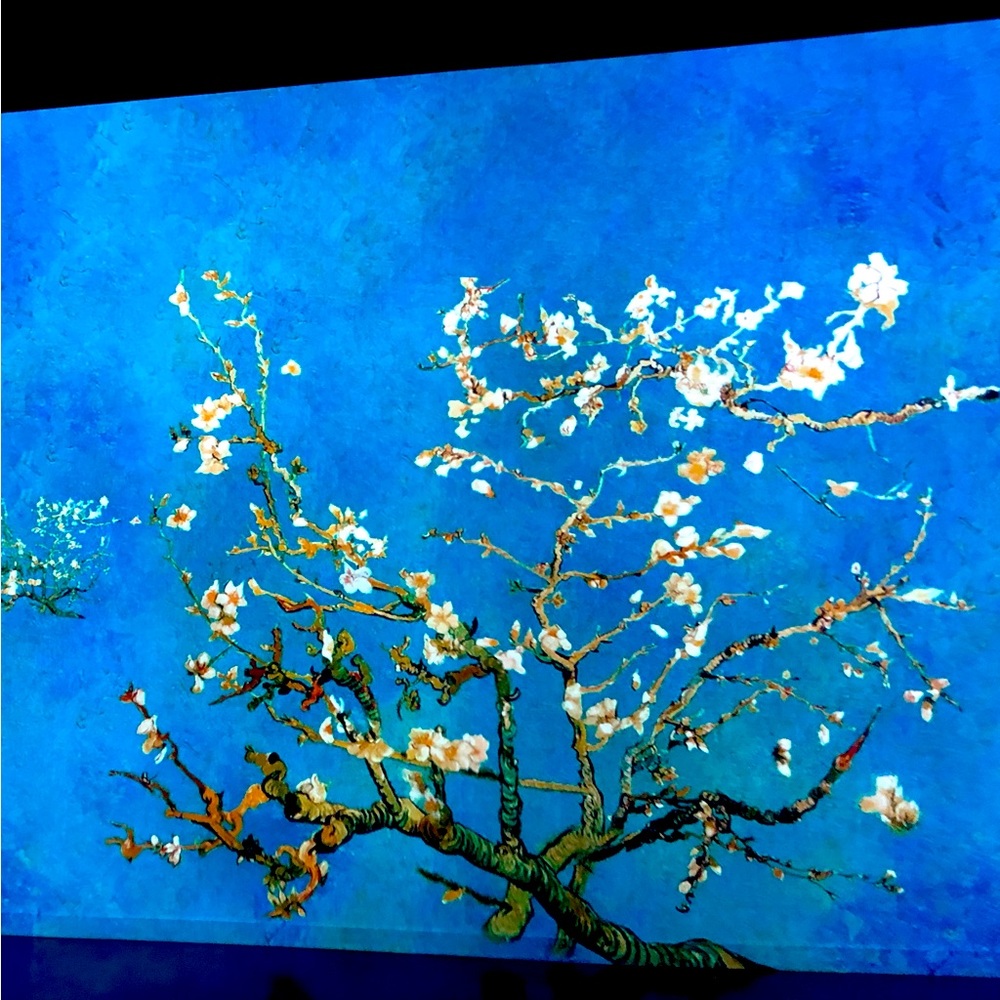 Immersive Van Gogh/ Monet